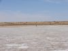DSC01084.JPG