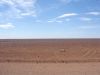 DSC01086.JPG