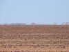 DSC01095.JPG