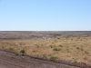 DSC01097.JPG