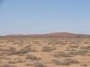 DSC01110.JPG