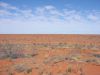 DSC01122.JPG
