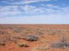 DSC01124.JPG