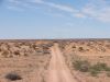 DSC01125.JPG