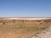 DSC01142.JPG