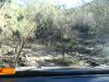 019.jpg