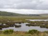 DSC00304.JPG