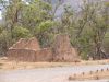 DSC00382.JPG