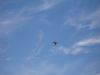 DSC00143_s.JPG