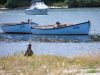 DSC00184.JPG