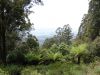 DSC00081.JPG