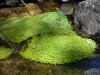 DSC00118_s.JPG