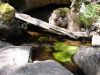 DSC00145.JPG