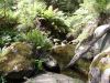 DSC00146.JPG