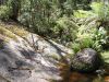 DSC00147.JPG
