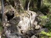 DSC00152.JPG