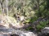 DSC00153.JPG