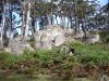 DSC00156.JPG