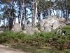 DSC00157.JPG
