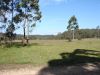 DSC00158.JPG