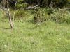 DSC00160.JPG
