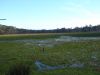DSC00162.JPG