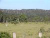 DSC00163.JPG
