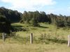 DSC00164.JPG