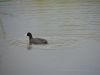 DSC00276.JPG