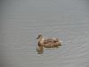 DSC00285.JPG