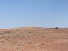 DSC00389.JPG