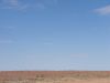 DSC00391.JPG