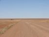 DSC00393.JPG
