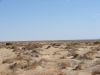 DSC00395.JPG