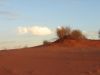 DSC00410.JPG