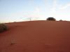 DSC00416.JPG
