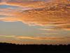 DSC00421.JPG