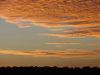 DSC00425.JPG