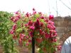 DSC00070.JPG