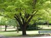 DSC00073.JPG