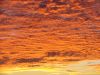 DSC00426.JPG