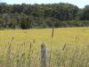 DSC00189.JPG