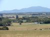 DSC00191.JPG
