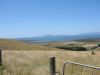DSC00203.JPG