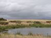 DSC00337.JPG