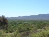 DSC00215.JPG