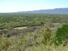 DSC00217.JPG