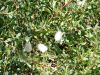 DSC00219.JPG
