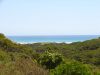 DSC00224.JPG
