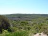 DSC00226.JPG